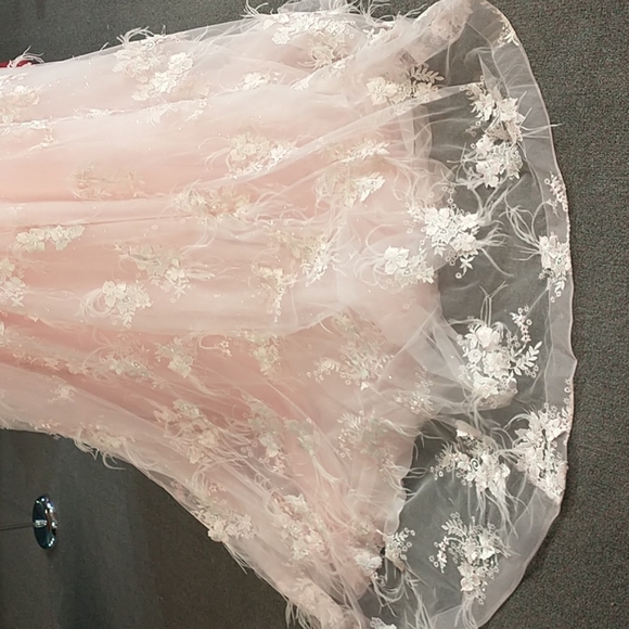 Quinceanera or Prom gown pink with feathers corset back - Picture 7 of 10
